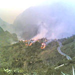 Bosbranden leggen Masca in de as. Foto Canarias24horas